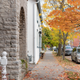 Illustration for article titled 2019-10-20 Looking for Fall Colours Around Downtown Kingston